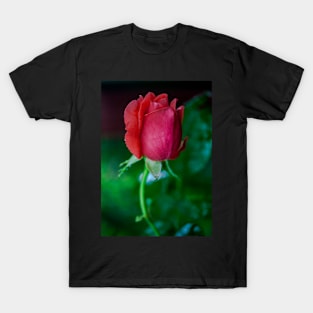 FLOWERS, NATURE’S Fashion Models T-Shirt